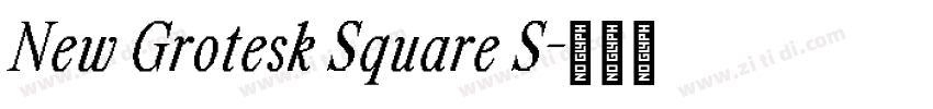 New Grotesk Square S字体转换 New Grotesk Square S字体转换